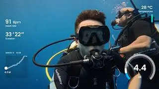 Dive 29 - Felicity Maldives - South Male Atoll - Kandooma Thila - Close sharks encounter drift dive