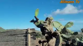الجزء الاول اليمان تيفي تنقل لكم اجواء دوار طرارة بني شيكر الناظور