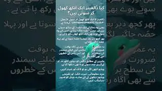 Dolphin sleeps with one eye open Urdu Hindi