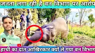 जनता लगा रही हैं वन विभाग पर आरोप। क्या मामला है जाने वीडियो में 