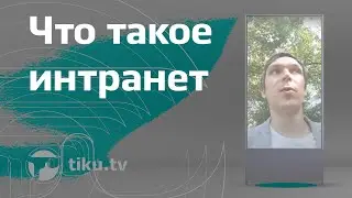 Что такое интранет в интернет-маркетинге