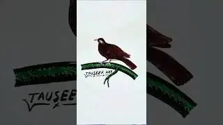 Realistic Mayna Bird Sketch | Easy Mayna Drawing Step by Step | Beautiful Bird Art #tauseefart
