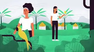 Hoe eerlijk is jouw verzekering?