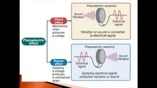PhysicsVideo