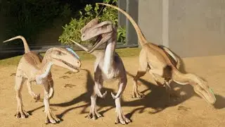 Jurassic World Evolution 3: Proceratosaurus