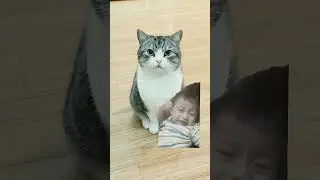 cat boy #cat #catshorts #cats #sprunki ##shorts