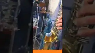 Los mezquit del Valle