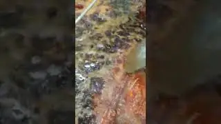 Haji Sardar Machli Farosh lahore fry Fish
