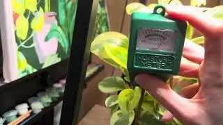 Gouevn Soil Moisture Meter Review, Plant Moisture Meter Indoor & Outdoor! #amazonfinds #plants
