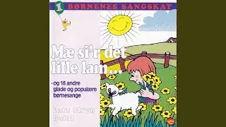 Lille Per i Tivoli