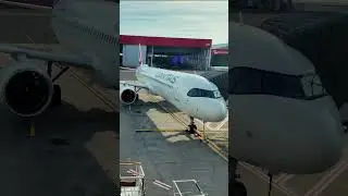 Совершенно новый эконом-класс Qantas A321XLR #самолет #авиация #самолет #qantas
