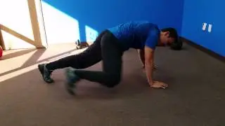 Ab Exercise- Spiderman Climb