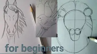 How to draw animals face drawing step by step  #khushiarthouse...
