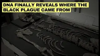 Ancient DNA Reveals Which Genes Helped Europeans Survive the Black Death!
