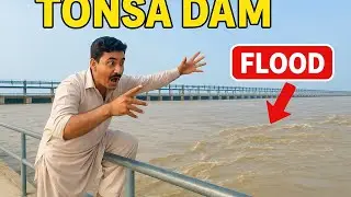 Dangerous Flood Passing Through Tunsa Barrage | Flood Alert 2025