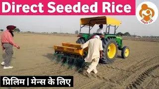 Direct seeded rice (DSR) method