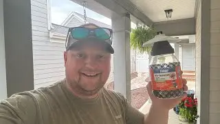 How to Catch Flies #fly #flytrap #pestcontrol #pest #diy #terro