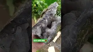 beautiful stone❤️ #batuakik #batugarut #batuakikunik #stone #agate #shorts