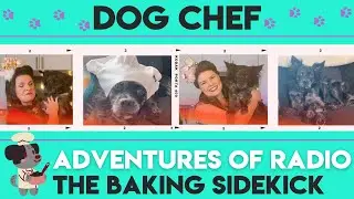 Dog Chef - Adventures of RADIO The Baking Sidekick