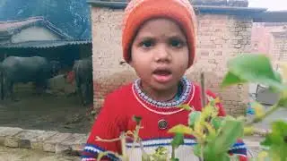 Happy New Year | 2026, 1 January Video | #Blog #Newyear @mi_zadoo