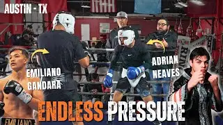 OUCH! Amateur Boxer CRUSHES His Opponents With PRESSURE In Sparring!
