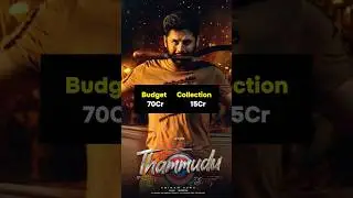 Nithin all movies budget & collection part 2