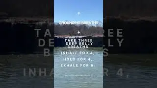 Quick Tips for Staying Grounded This Holiday (full video on profile)