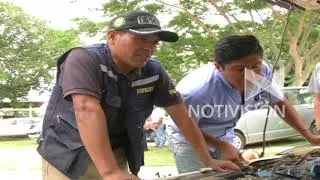 &iquest;C&oacute;mo identificar a un veh&iacute;culo clonado?
