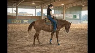 Baylor Equestrian Camp | Reining Pattern – Cowboy (Class of 2026)