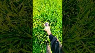 Background Sigma boy ￼sound most viral video 😱???#viral #viralvideo #shots #video #videos #music ￼