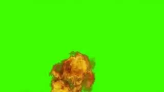 fire 01 in green screen freen stock footage