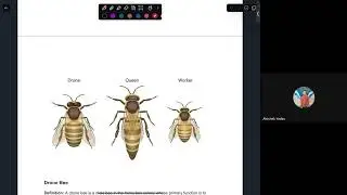 Class 10 Science | Life Cycle of Honey Bee | SEE Science Important Conceot and Questions