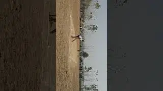 Salman khichdi best overcover #shots #shorts