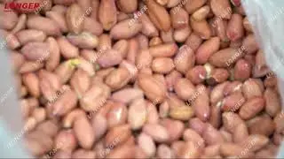 Nut Roasting And Flavoring Line/Peanut Roasting Machine/Peanut Flavoring Machine/Salting Machine