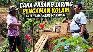 Cara Pasang Jaring Pengaman Kolam Ikan: Murah & Tahan Lama