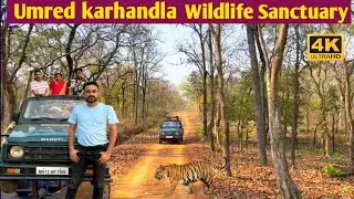 Umred karhandla Wildlife Sanctuary | उमरेड करांडला जंगल सफारी | Complete Information