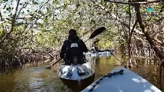 Kayaking on Florida's Space Coast