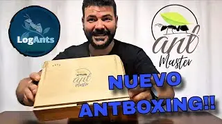 NUEVO ANTBOXING DE AntMaster