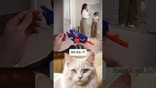 POV: You Use a Toy Gun on Your Mom 💀 #funny #cat #dance #shorts #usashorts