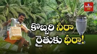 Coconut Neera Processing Guide By Mynampati Sreenivasa Rao | hmtv Agri