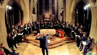 Motette BWV Anh.159 Ich lasse dich nicht / Hard-Chor