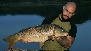CARPFISHING // EMBALSE NAVALLANAS // SUPERBAITS // COLETASCARP