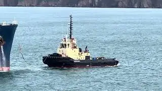 Expert tug crews bring gas tanker in safely