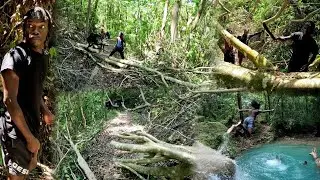 Clearing The Road To Twins Sister Falls | Hurricane Beryl Aftermath | Swimming &Ntilde; Roasting Lobster
