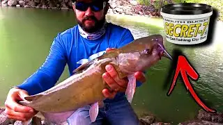 Catfishing With Secret 7 Bait Does It Catch Catfish??