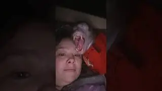 самый умный и нежный мальчик Федя #shortsvideo #животные #monkey #pets #animals #обезьяна #топ #рек