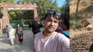 Machia Biological Park, Jodhpur( part 2)#jodpur #india #machiabiologicalpark
