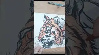 крашу тигра #art #sketching #drawing #tutorial #tiger #ink