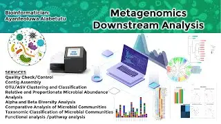 Metagenomics Bioinformatics Analysis Services