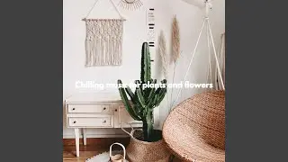 Modern Moods for Wonderful Throwbacks